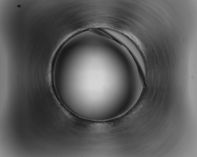 X0000092320894200709211327