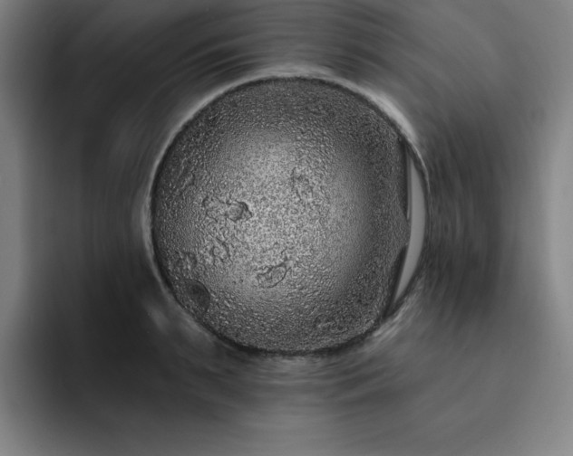 X0000092320895200709211327