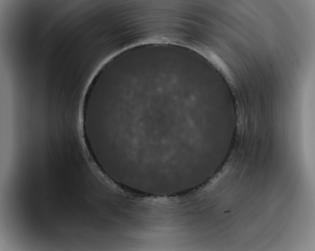 X0000092320896200709211327