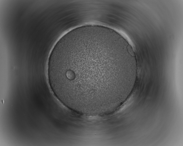 X0000092320903200709211327