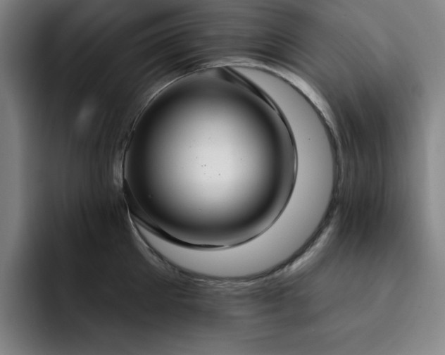 X0000092320905200709211327