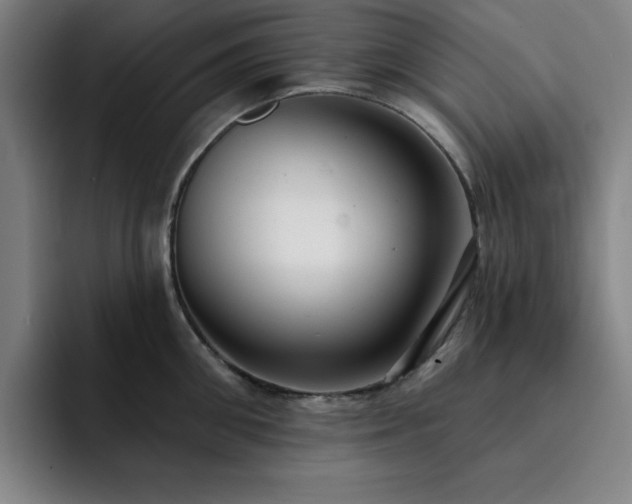 X0000092320906200709211327