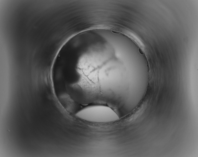 X0000092320907200709211327