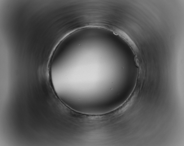 X0000092320908200709211327