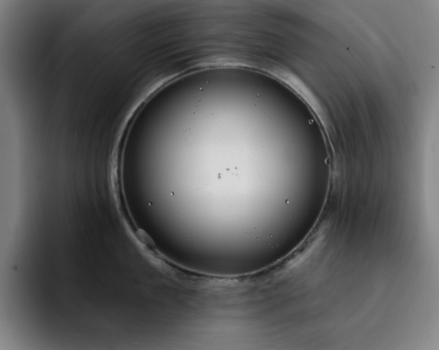 X0000092320909200709211327