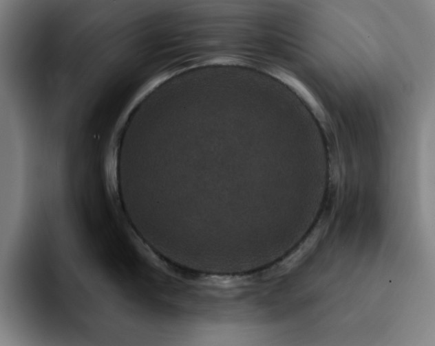 X0000092320910200709211327