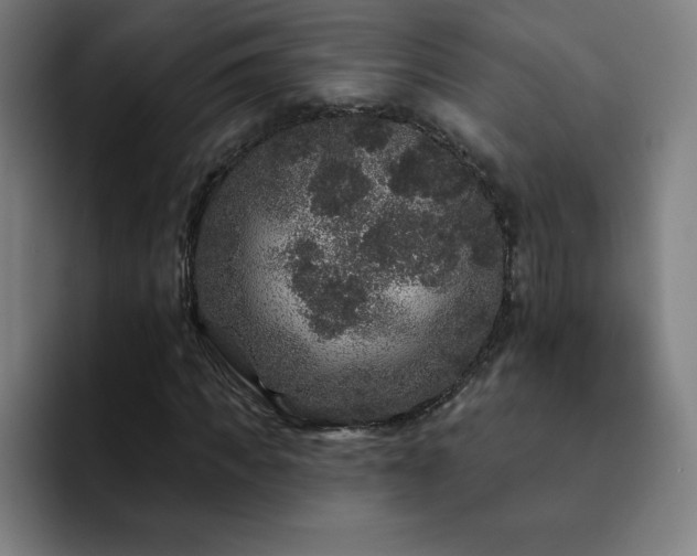 X0000092320917200709211326