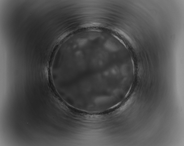 X0000092320921200709211327