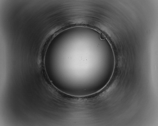X0000092320922200709211327