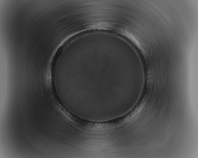 X0000092320923200709211327