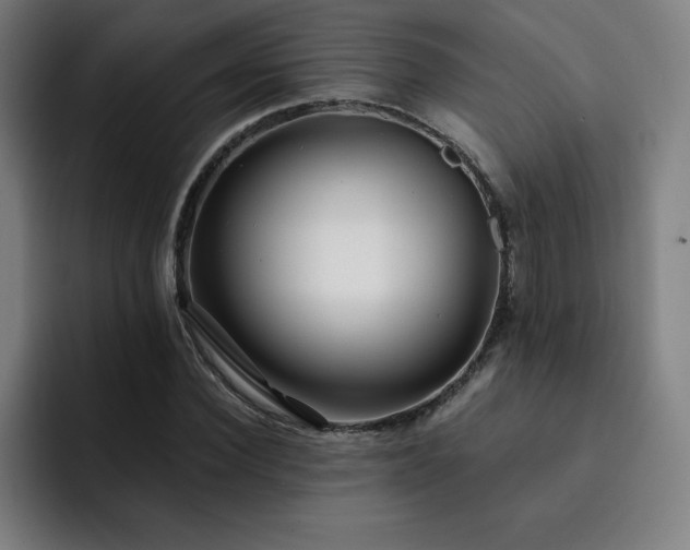 X0000092320924200709211327