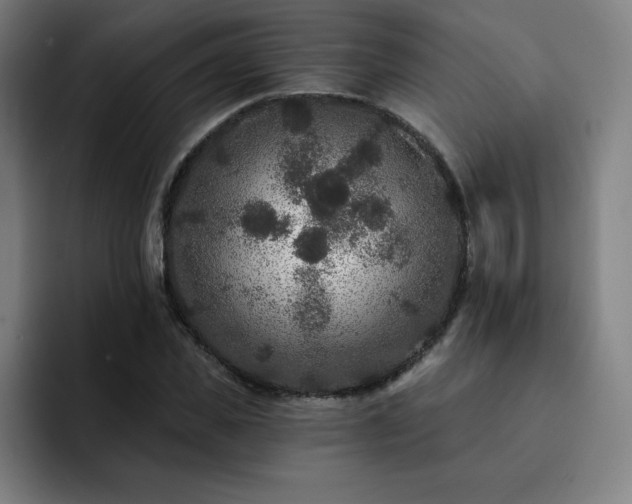 X0000092320925200709211327