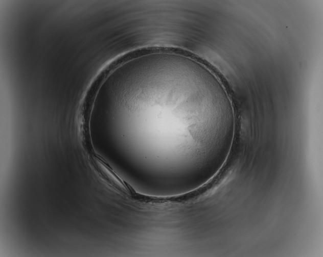 X0000092320926200709211327