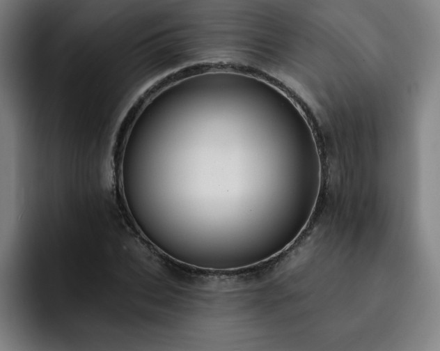X0000092320927200709211327