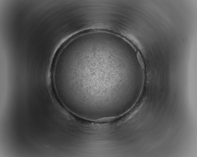 X0000092320928200709211327
