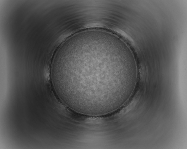 X0000092320929200709211327