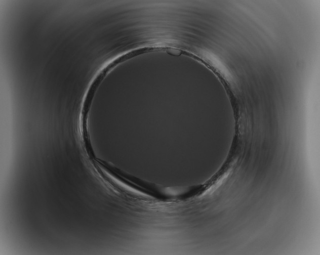 X0000092320932200709211327