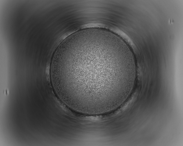 X0000092320937200709211327