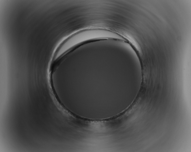 X0000092320944200709211327