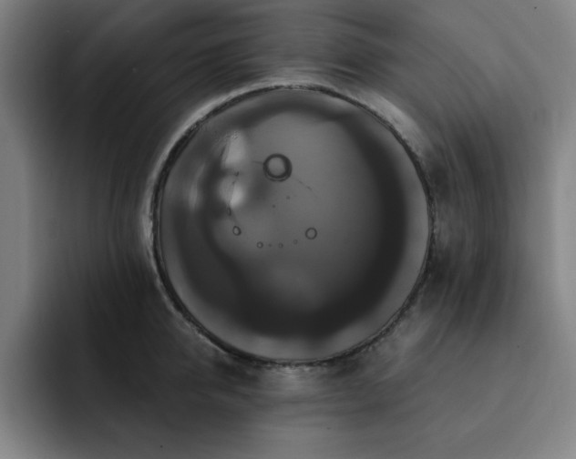 X0000092320950200709211327