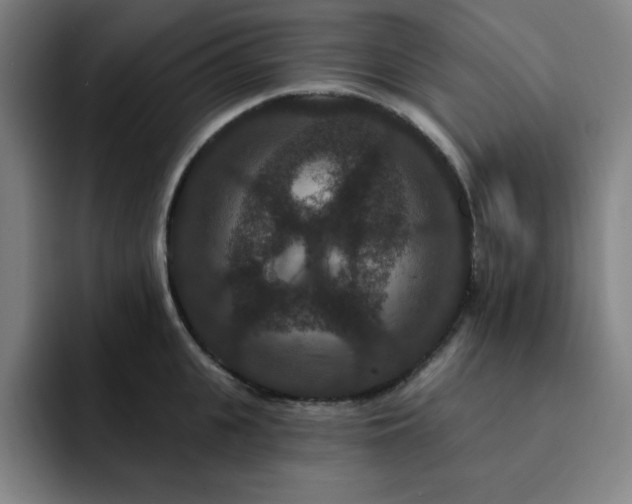 X0000092320951200709211327