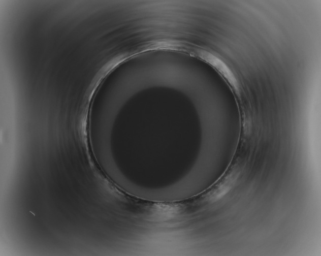 X0000092320954200709211327