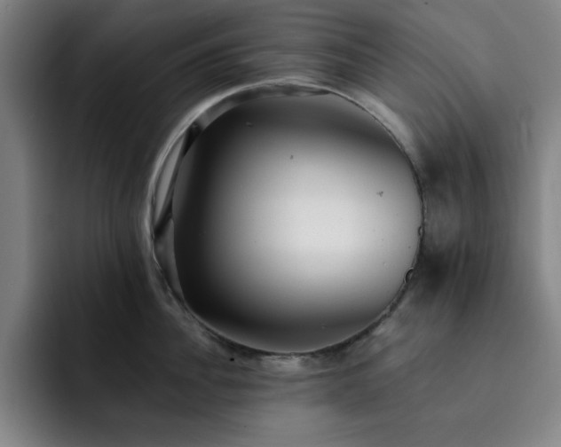 X0000092320956200709211327
