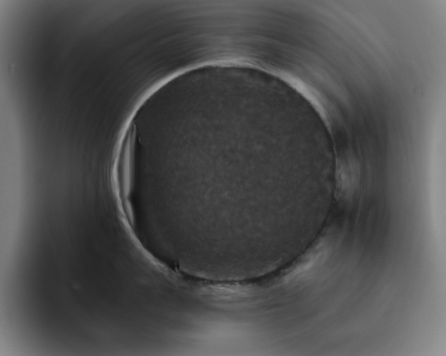 X0000092320959200709211327