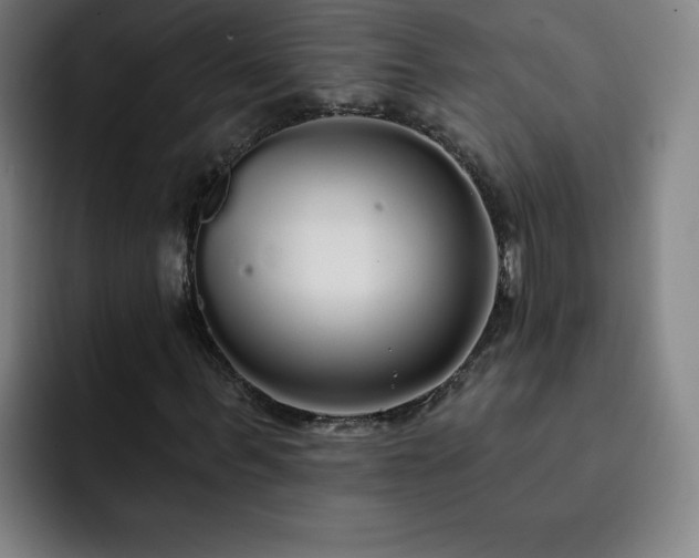 X0000092320963200709211326