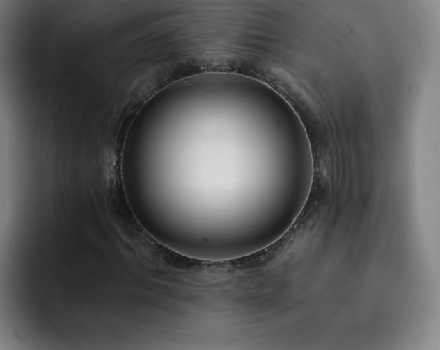 X0000092320964200709211326