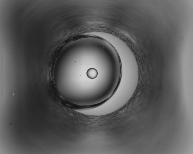X0000092320965200709211326