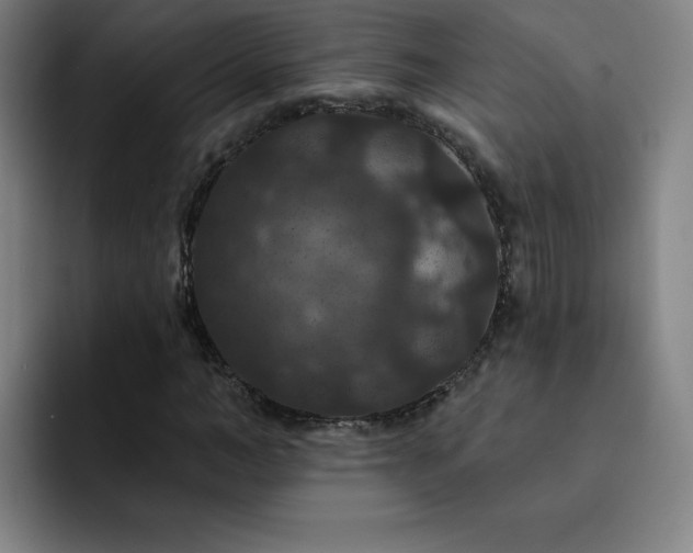 X0000092320966200709211326