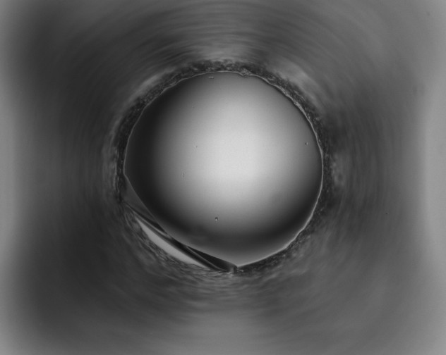 X0000092320968200709211326