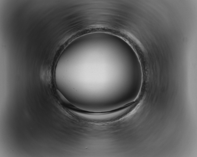 X0000092320969200709211326