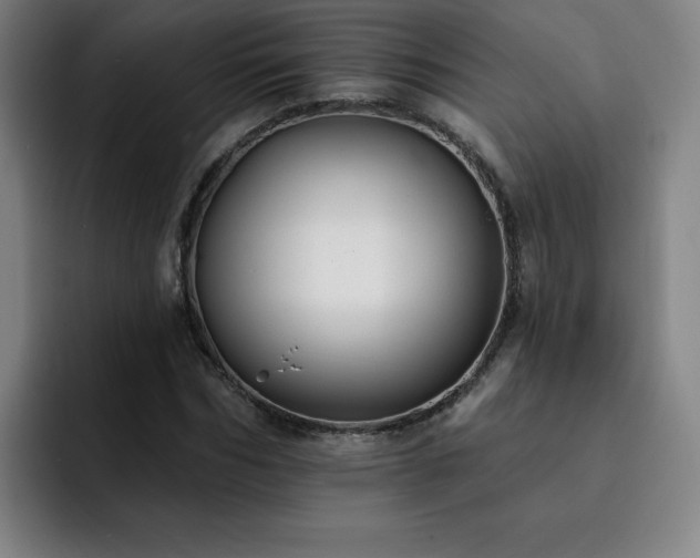 X0000092320970200709211326