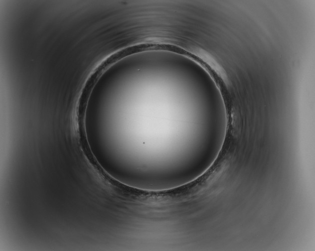 X0000092320972200709211326