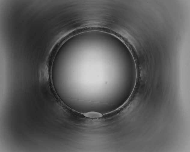 X0000092320973200709211326