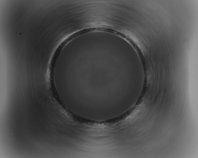X0000092320975200709211326