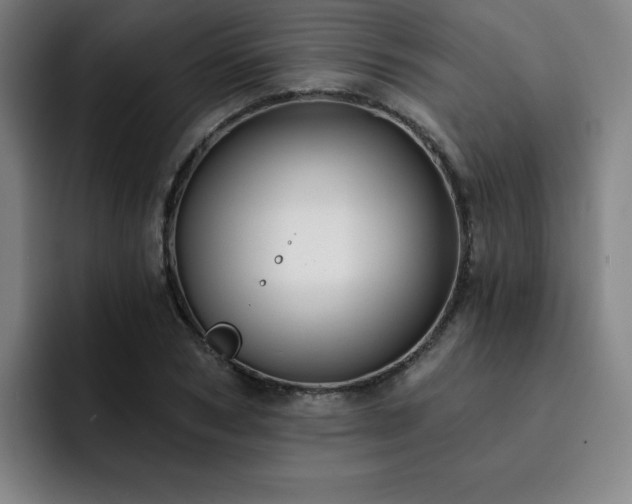 X0000092320978200709211326