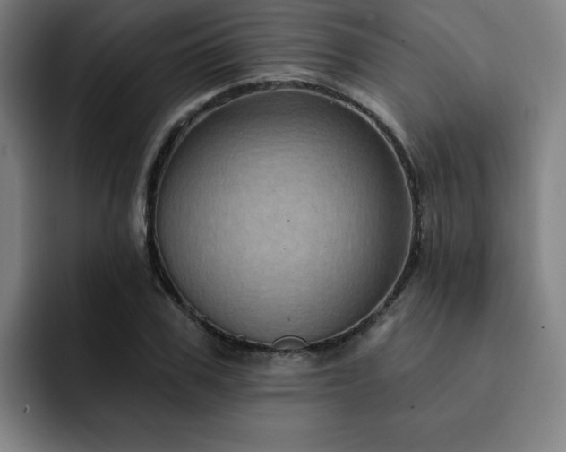 X0000092320979200709211326