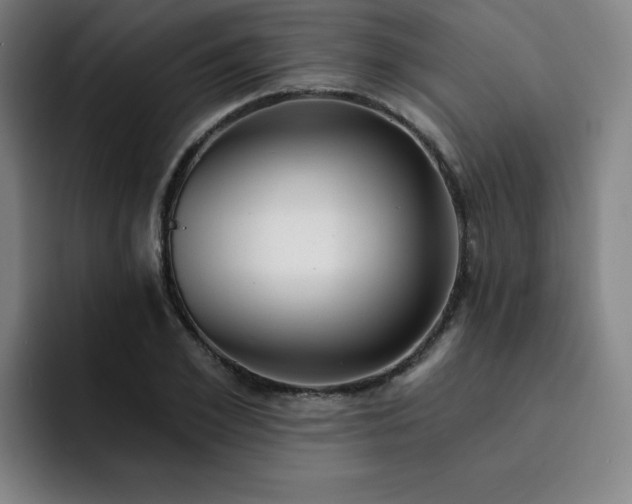 X0000092320981200709211326