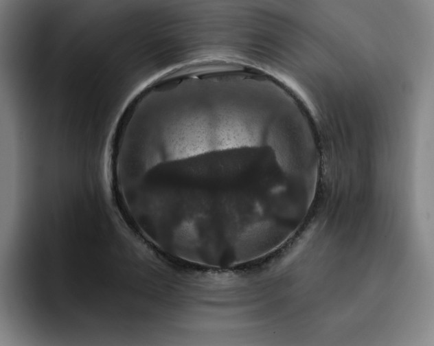 X0000092320983200709211326