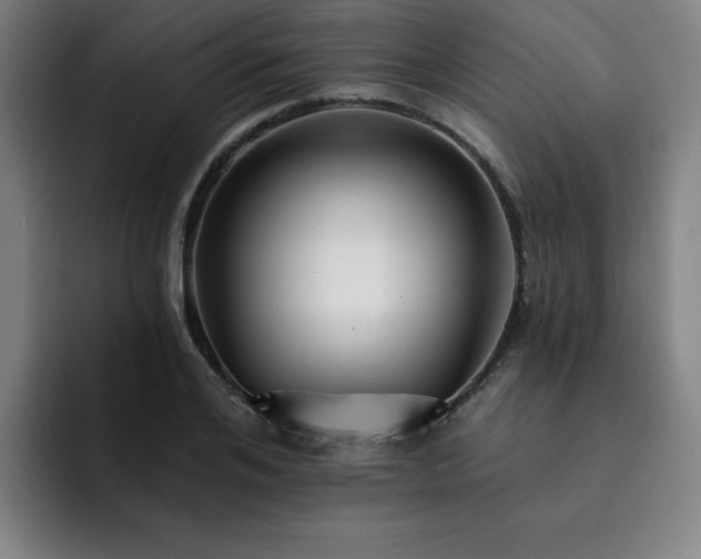 X0000092320984200709211326