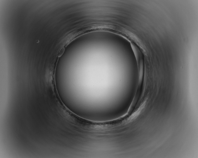 X0000092320985200709211326
