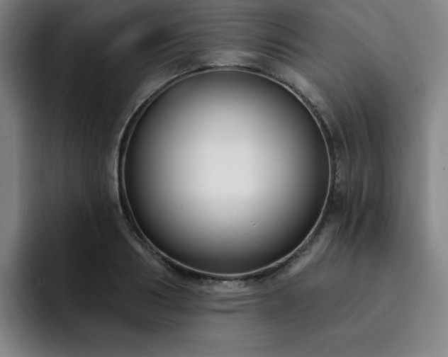 X0000092320986200709211326