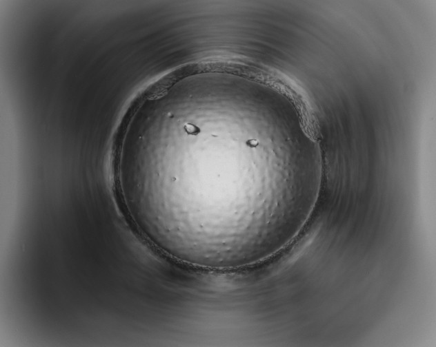 X0000092320987200709211326