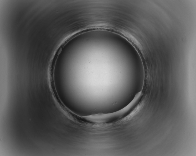 X0000092320989200709211326