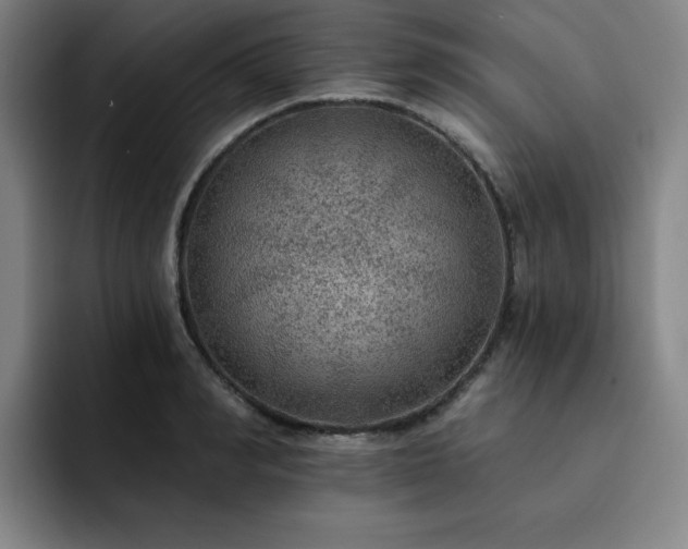 X0000092320990200709211326