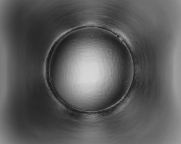 X0000092320991200709211326