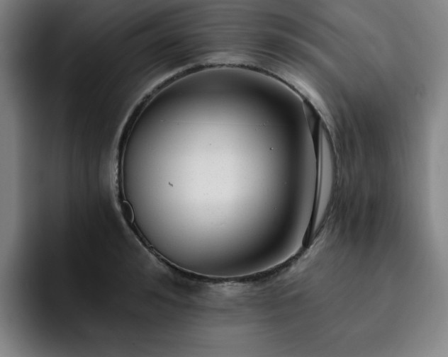 X0000092320992200709211326